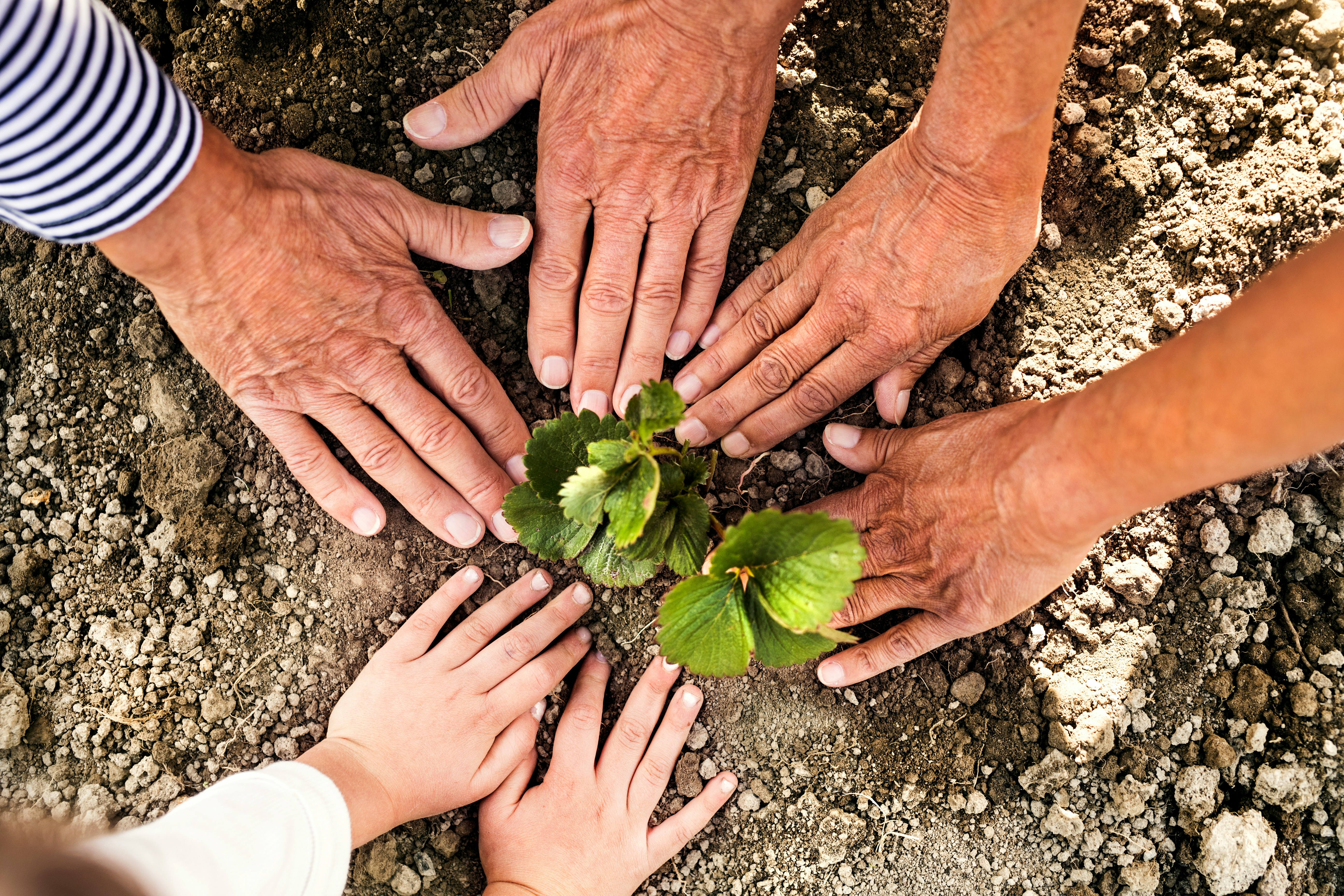 Delivering Social Impact